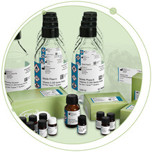 Making Your Vitamin D Testing Dreams Come True