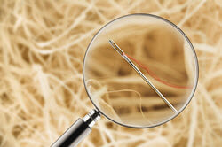 Harnessing the Power of MRM3 for Large Molecule Quantitative Bioanalysis