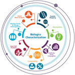Fast, Efficient, Disulfide Bond Mapping Using BioPharmaView™ Software