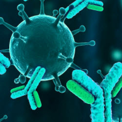 Speeding the Development of Quantitative Biosimilar Assays