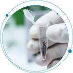 Top 5 Analytical Challenges for Pesticides in Cannabis