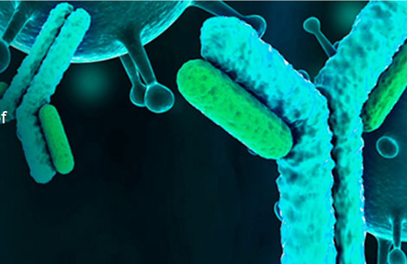 The Power Behind LC-MS for Quantifying mAb Therapeutics