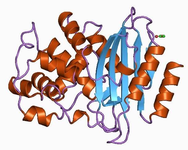 Superbugs, Antibiotic Resistance, and the QTRAP® 6500+ System