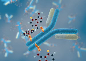 Do You Want to Accelerate Quantitative Assays for Antibody Drug Conjugates?