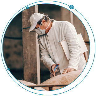 Bad Leftovers: Antibiotic Residues in Food