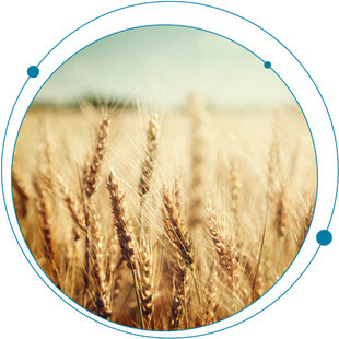 “There’s Nothing Wrong with a Little Bit of Mold.” WRONG!